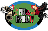 Pico Y Espuela TV
